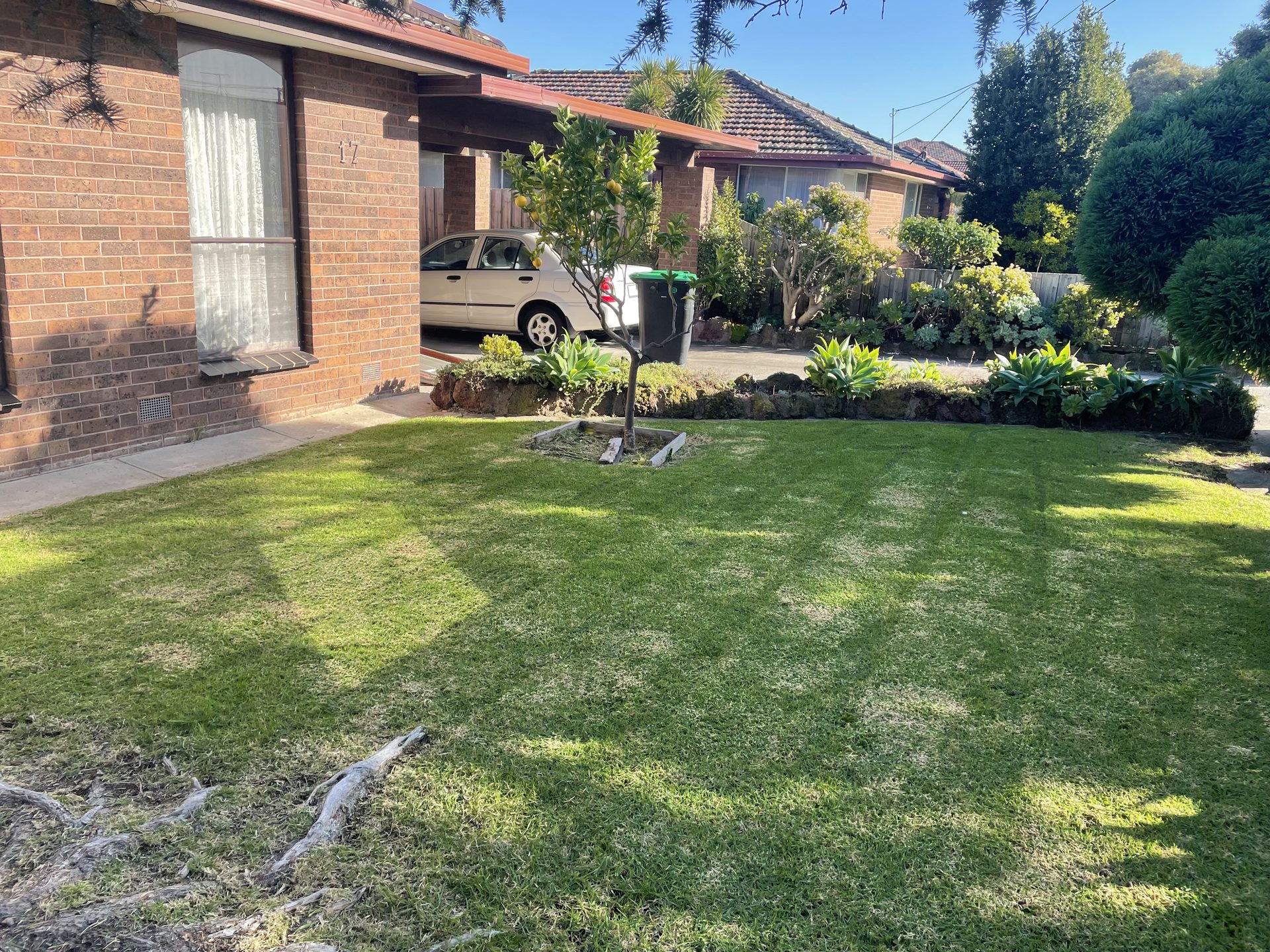 GMC Garden Project 39