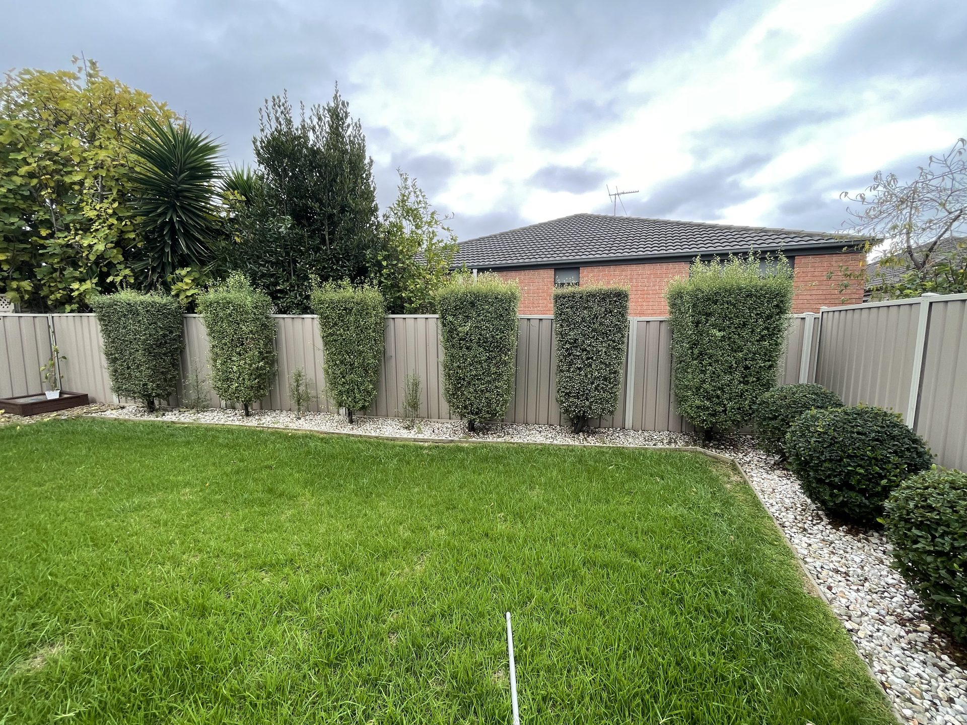 GMC Garden Project 40