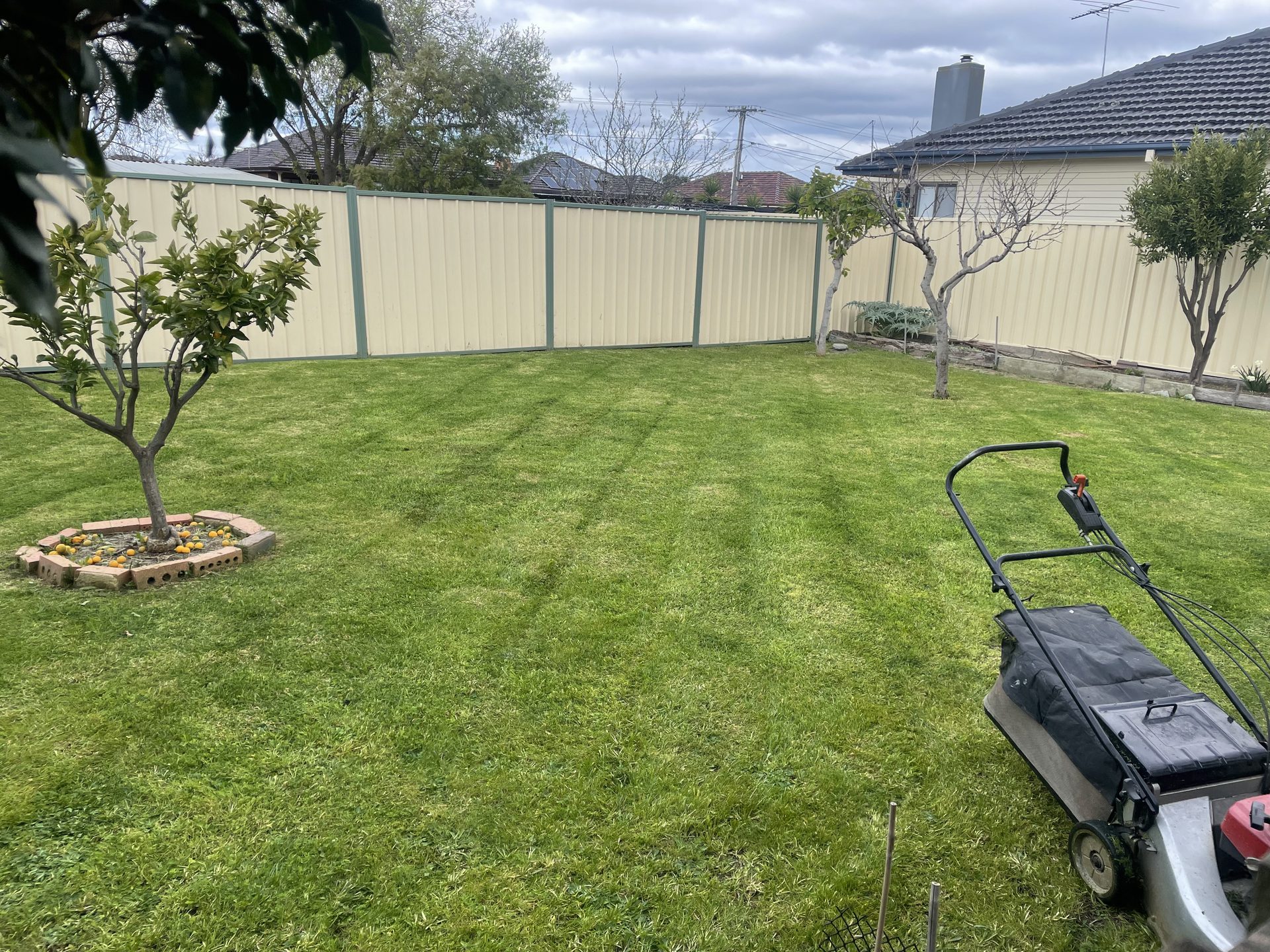 GMC Garden Project 4