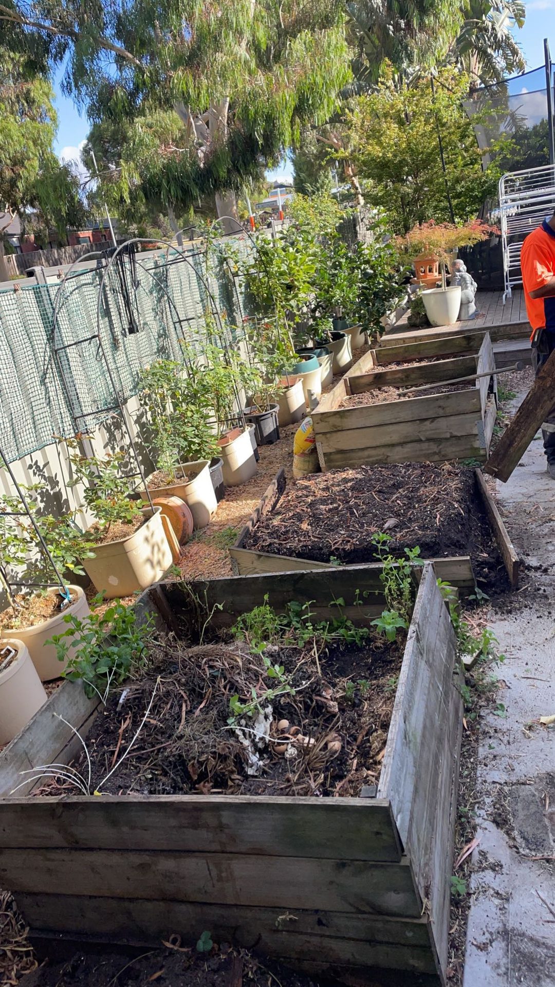 GMC Garden Project 8