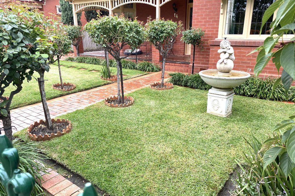 Garden Clean Up
