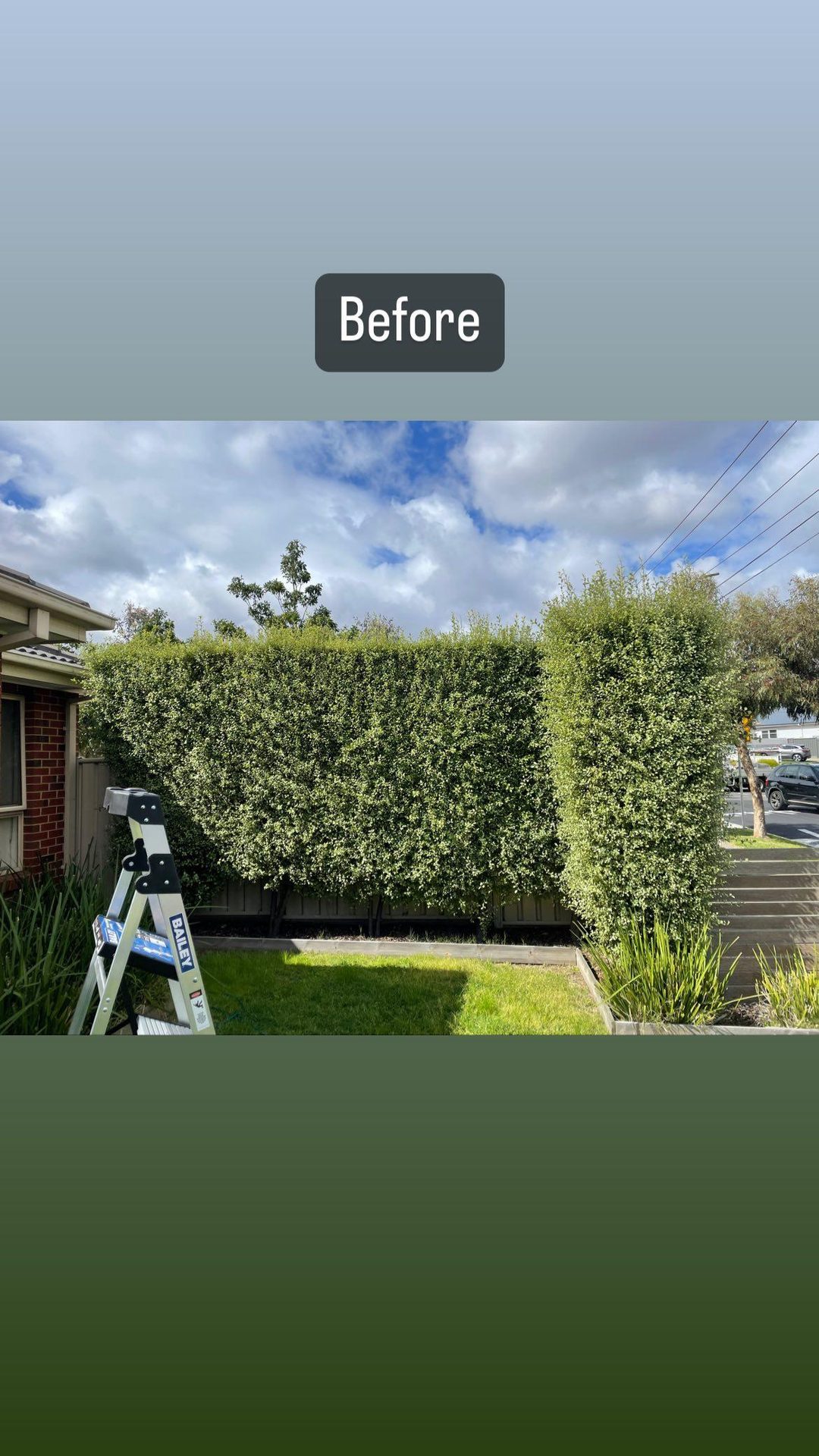 GMC Garden Project 17