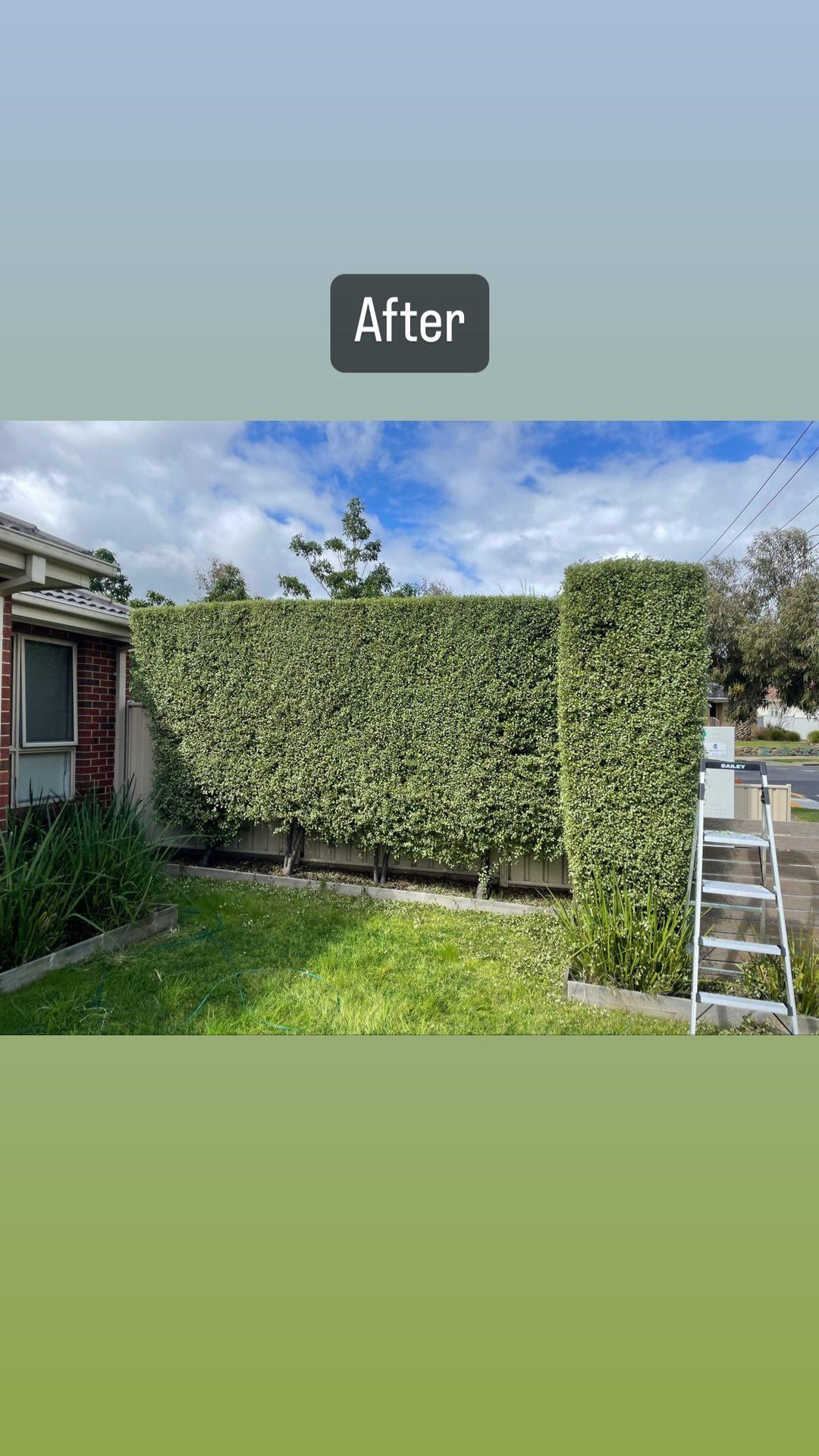 GMC Garden Project 18